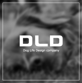 DLD
