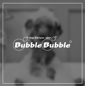 Bubble Bubble