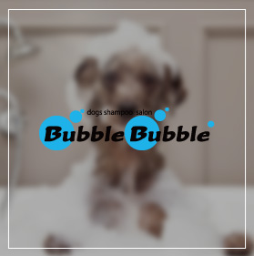 dogs shampoo salon