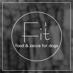 Fit1