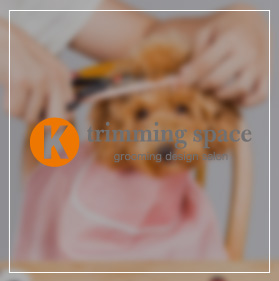grooming design salon